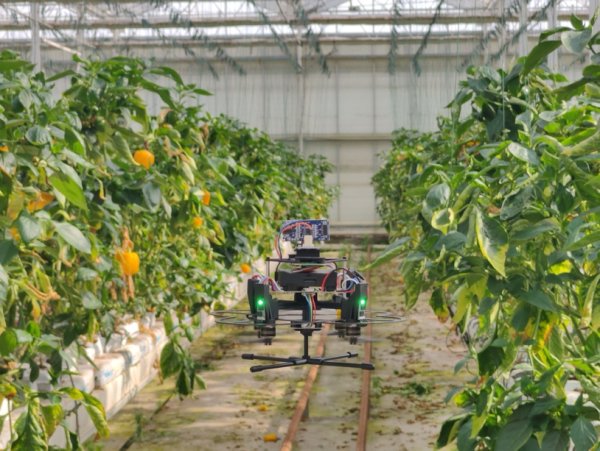 牛配资 上海开大原创农科技术入选“一带一路”十大人工智能应用场景