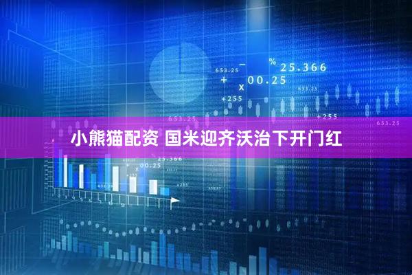 小熊猫配资 国米迎齐沃治下开门红
